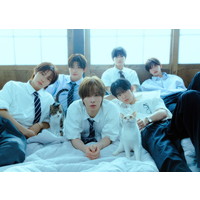 yCDVOzTWSA{fr[삪1ʁ@T͊COA[eBXgNxō